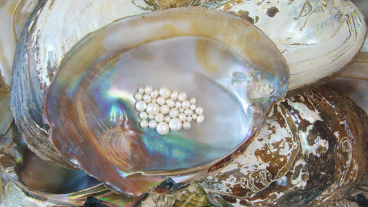 freshwater pearls, fernovia design, pearl jewellery